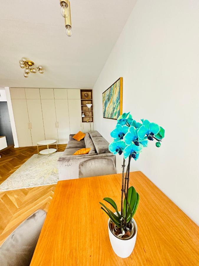 Bel Dom - The Central, Spacious 2 Rooms Luxury Apartment Cluj-Napoca Eksteriør billede